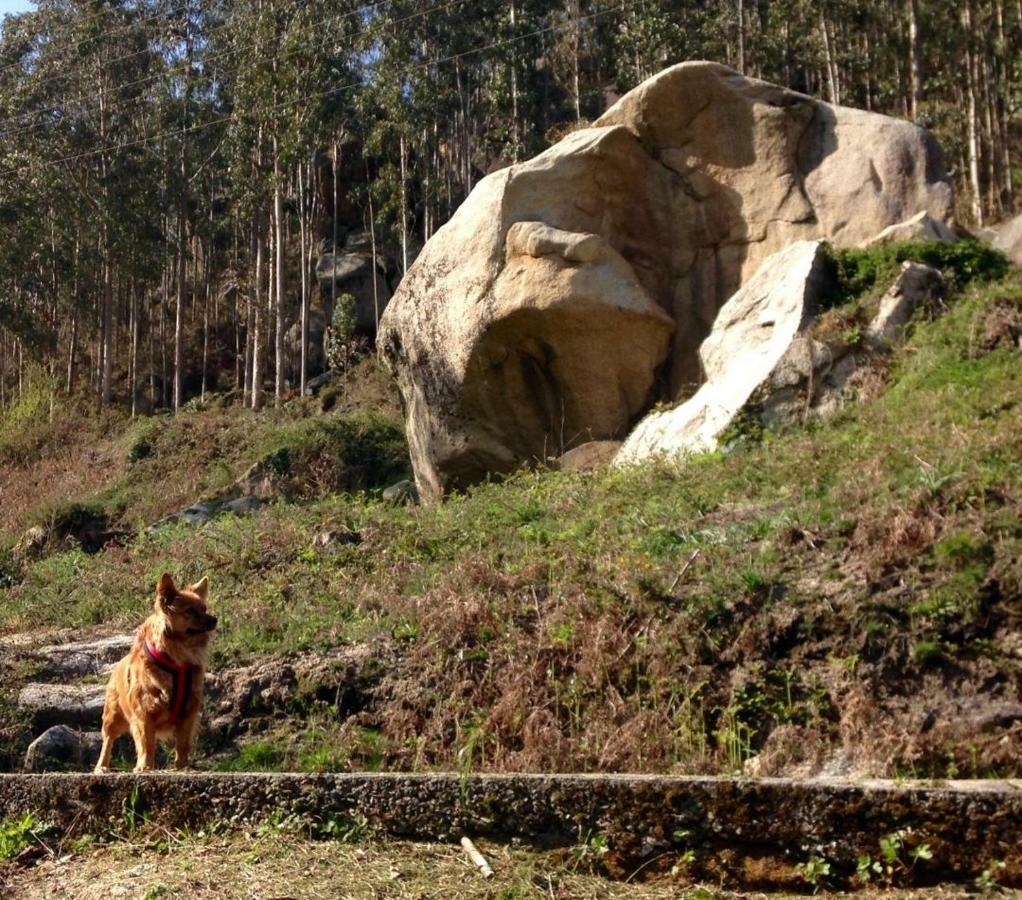 Гостьовий будинок Finca El Remanso Мондоньєдо Екстер'єр фото